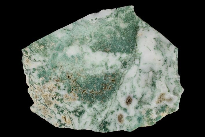 Polished Tree Agate Slab - India #167485
